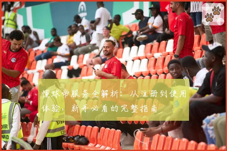 懂球帝服务全解析:从注册到使用体验,新手必看的完整指南