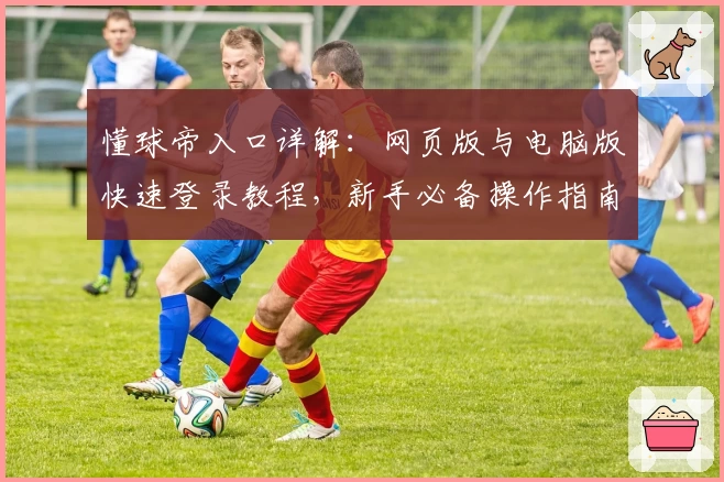 懂球帝入口详解：网页版与电脑版快速登录教程，新手必备操作指南