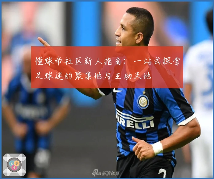 懂球帝社区新人指南：一站式探索足球迷的聚集地与互动天地