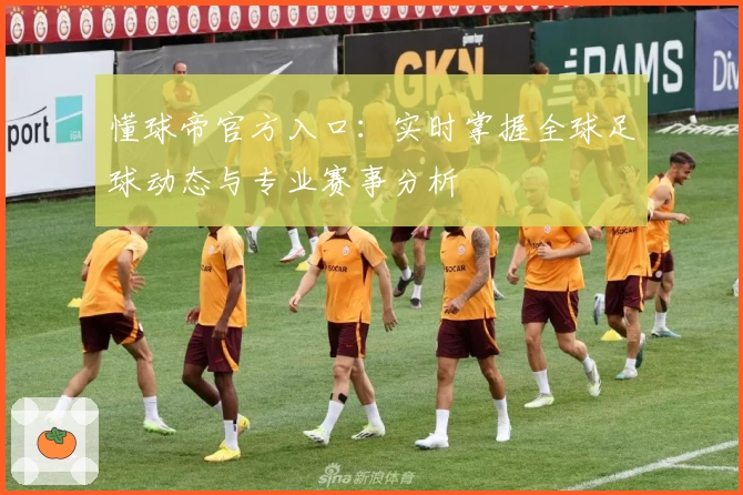 懂球帝官方入口：实时掌握全球足球动态与专业赛事分析